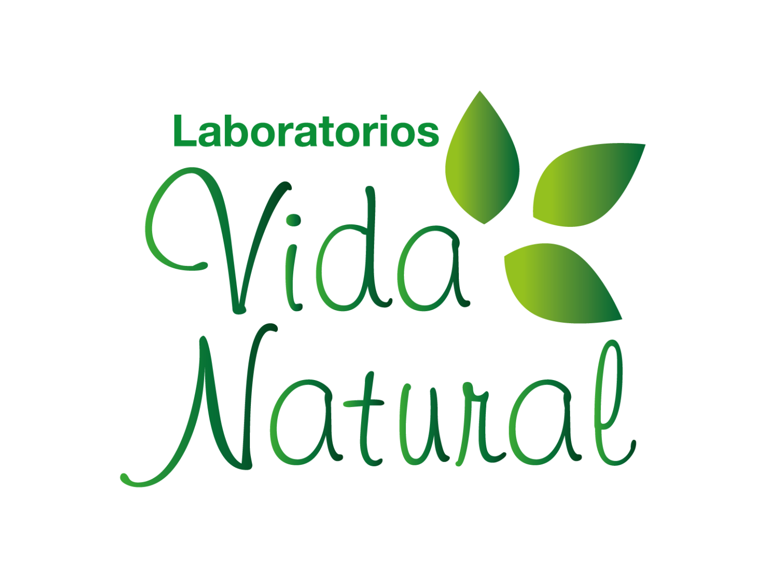 Logo Vida Natural -  productos naturales